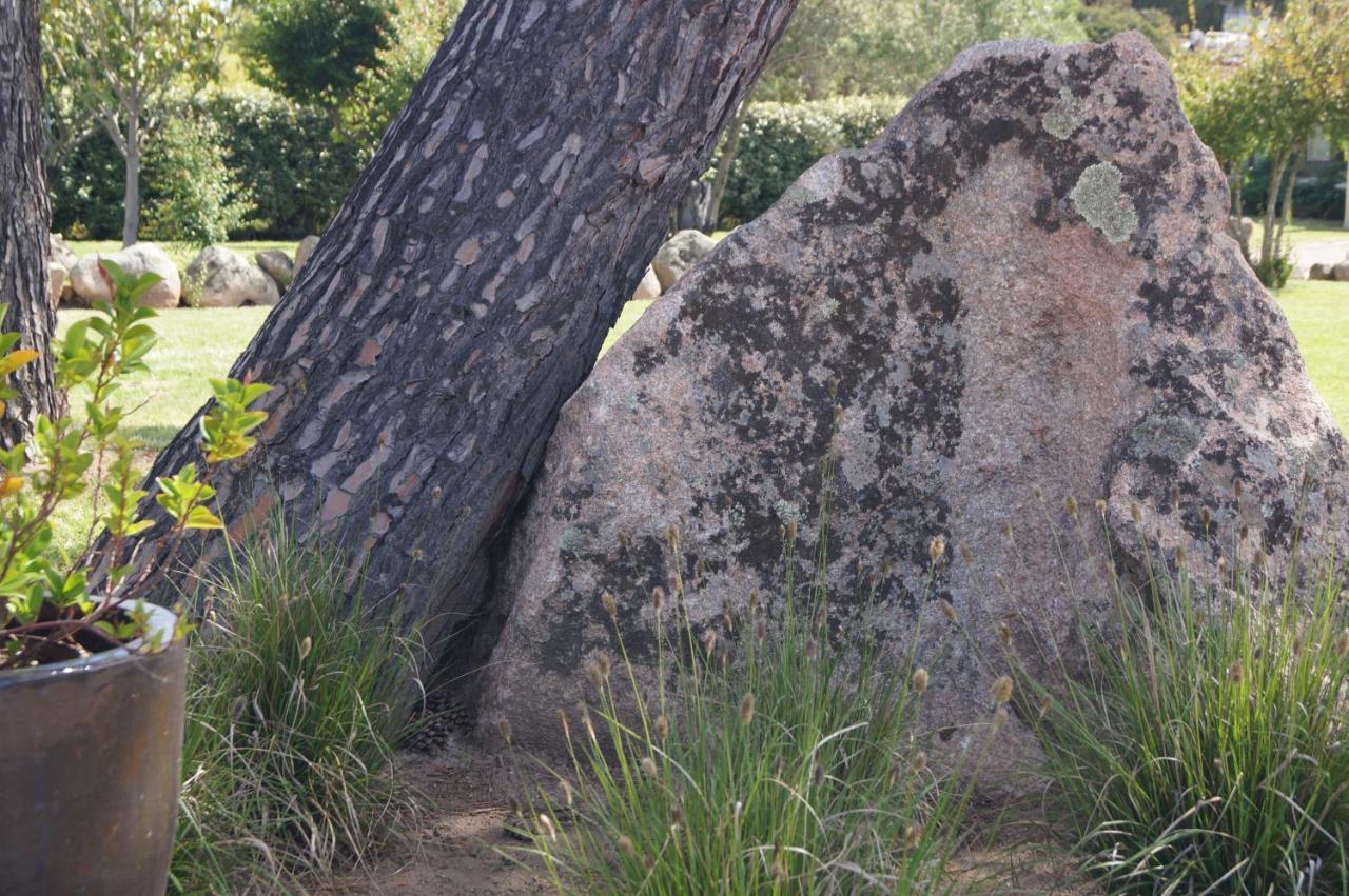 Les Jardins De Santa Giulia - Charmante Chambre D'Hote Porto-Vecchio  Eksteriør bilde